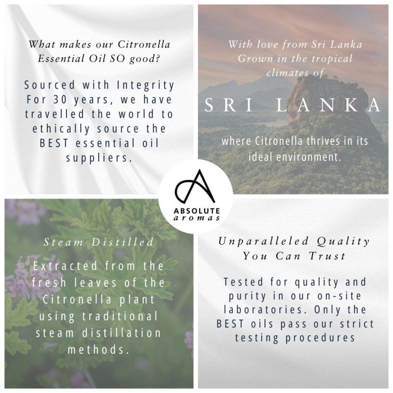 Absolute Aromas Citronella Essential Oil 3