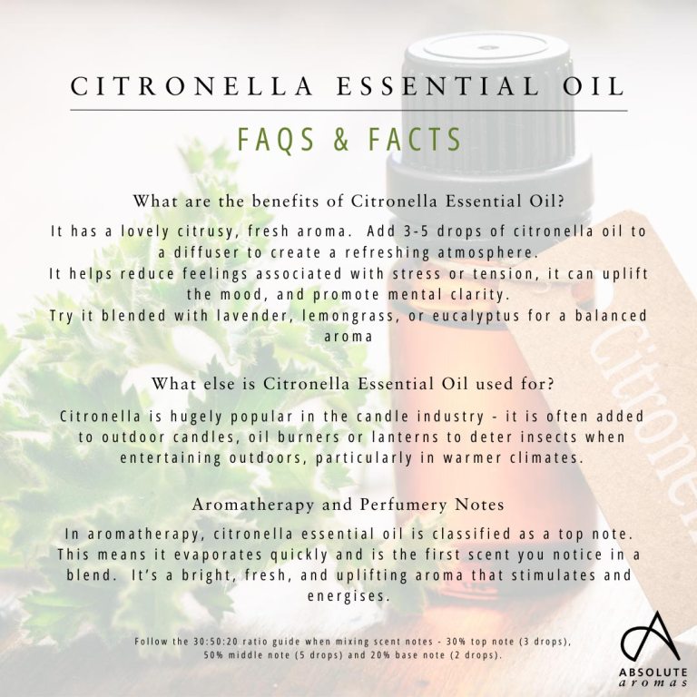 Absolute Aromas Citronella Essential Oil 4