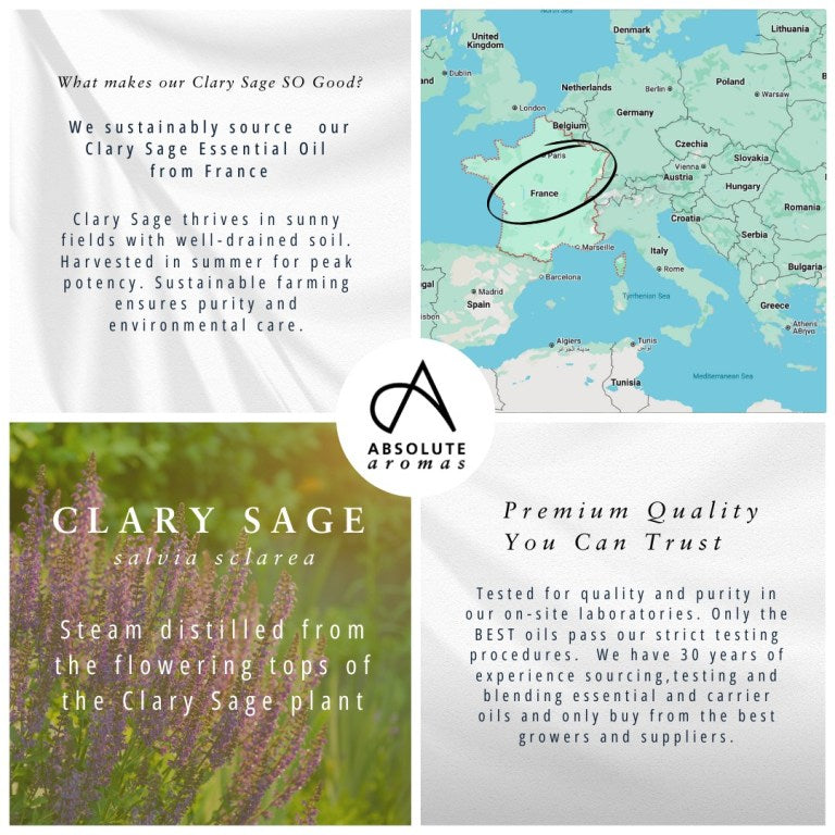 Absolute Aromas Clary Sage Essential Oil 3