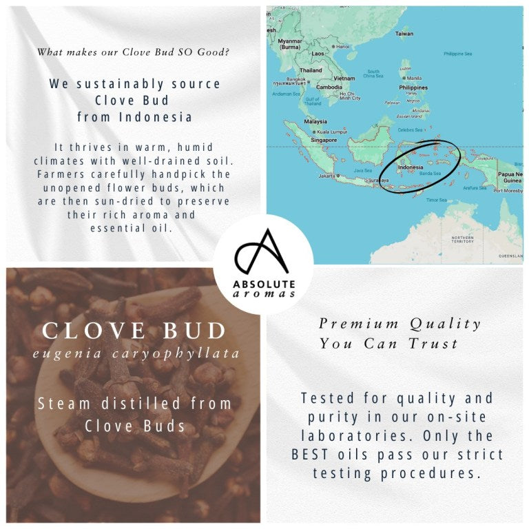 Absolute Aromas Clove Bud Essential Oil 4