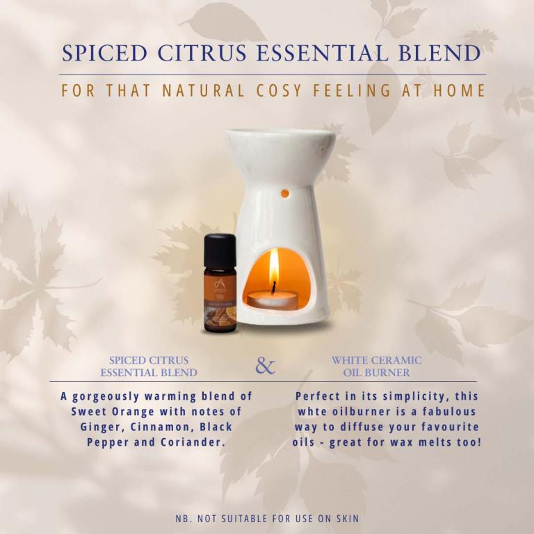 Absolute Aromas Spiced Citrus Aromatherapy Blend 3