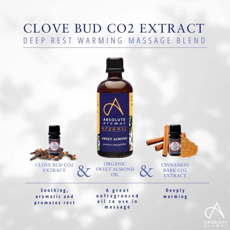 Absolute Aromas Clove Bud CO2 Extract 3