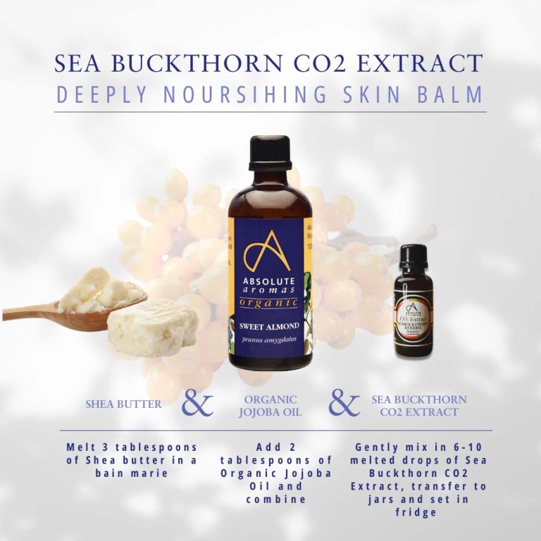 Absolute Aromas Sea Buckthorn CO2 Extract 3