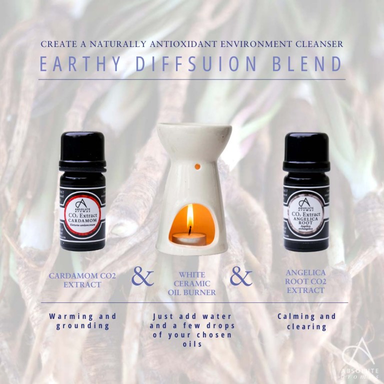 Absolute Aromas Angelica Root CO2 Extract 4