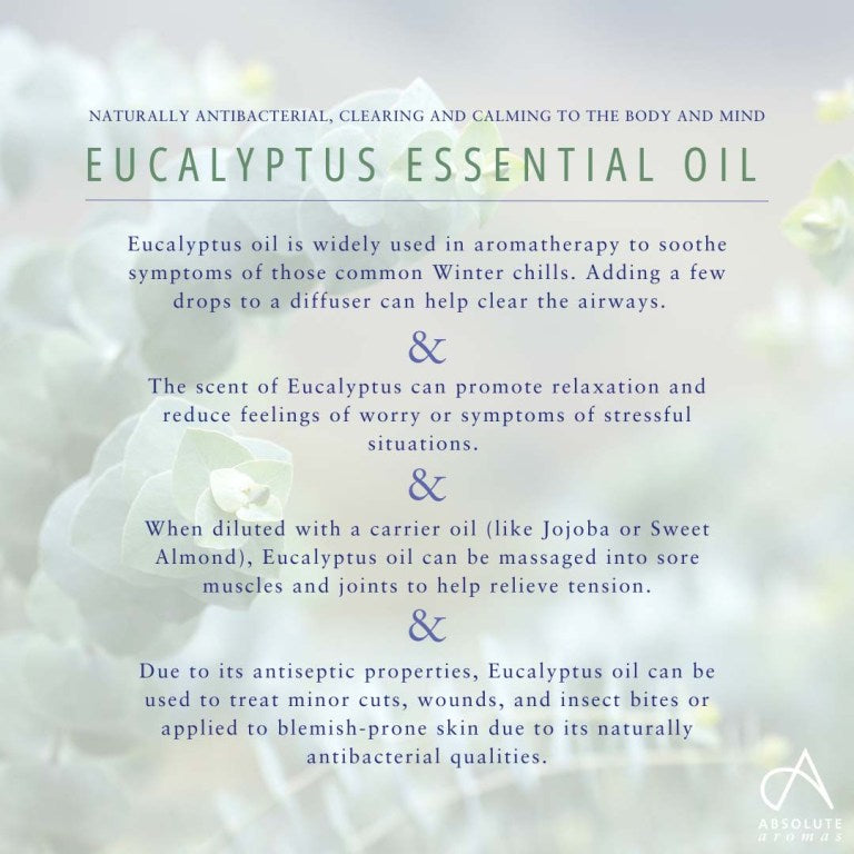 Absolute Aromas Eucalyptus Globulus Essential Oil 5