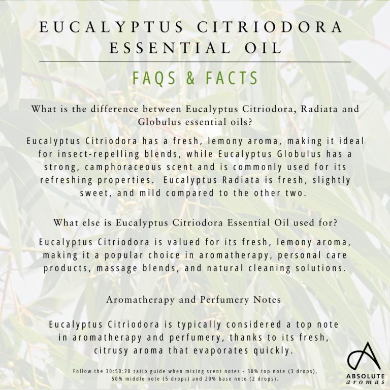 Absolute Aromas Eucalyptus Citriodora Essential Oil 5