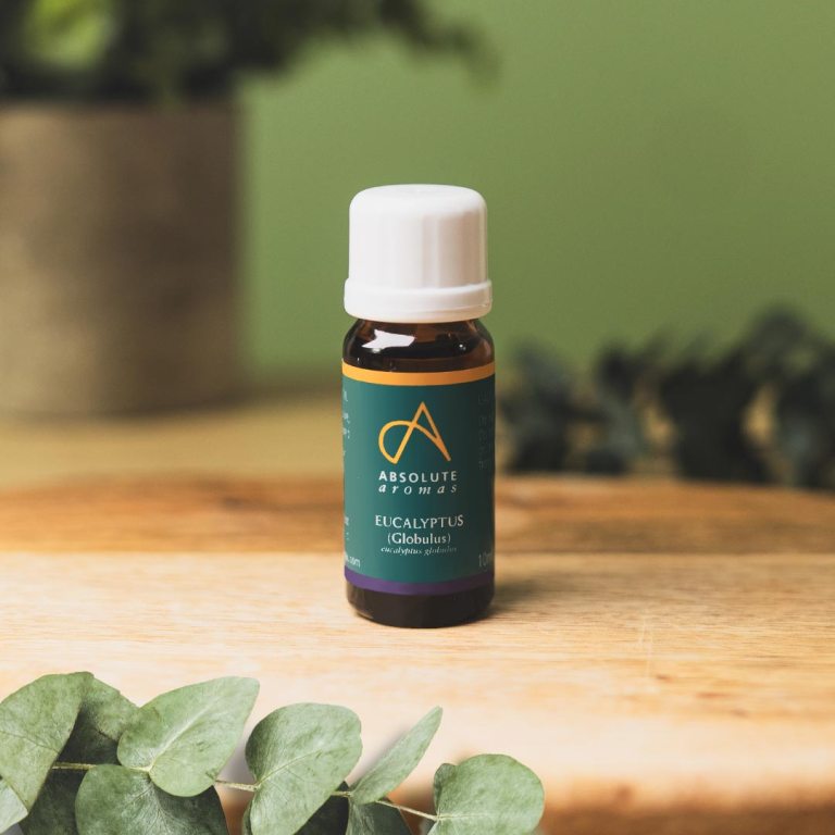 Absolute Aromas Eucalyptus Globulus Essential Oil 3