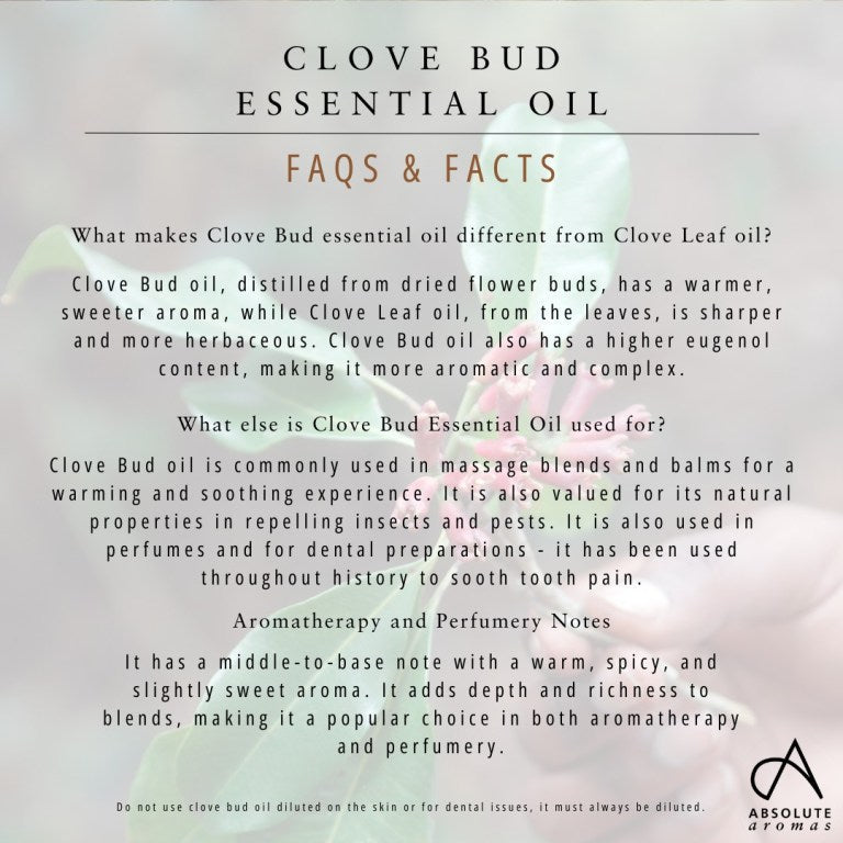 Absolute Aromas Clove Bud Essential Oil 5
