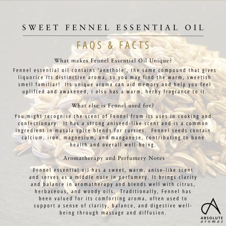 Absolute Aromas Fennel, Sweet Essential Oil 4