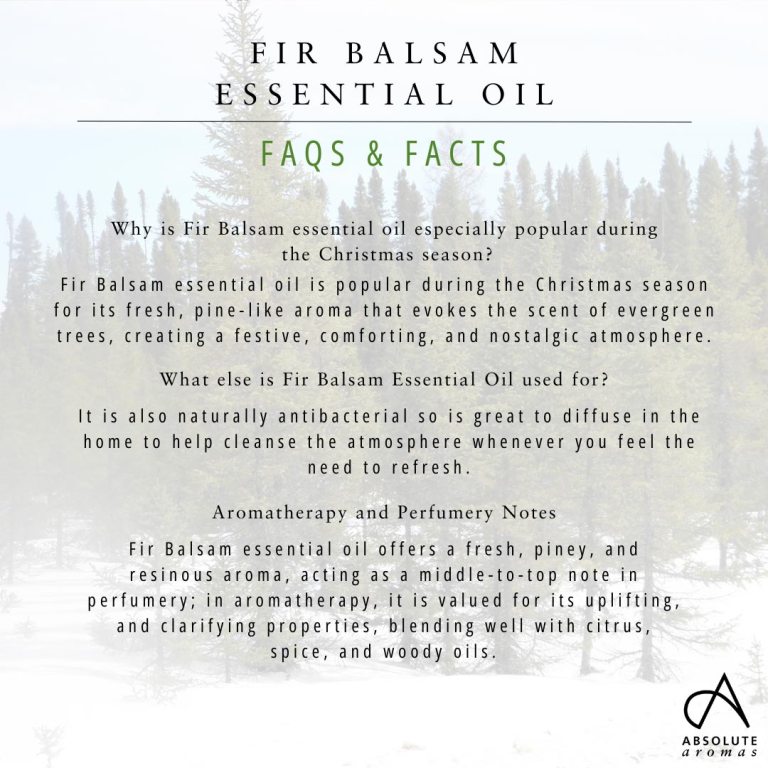 Absolute Aromas Fir Balsam Essential Oil 6