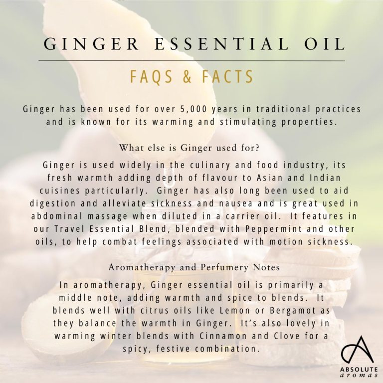 Absolute Aromas Ginger Essential Oil 6