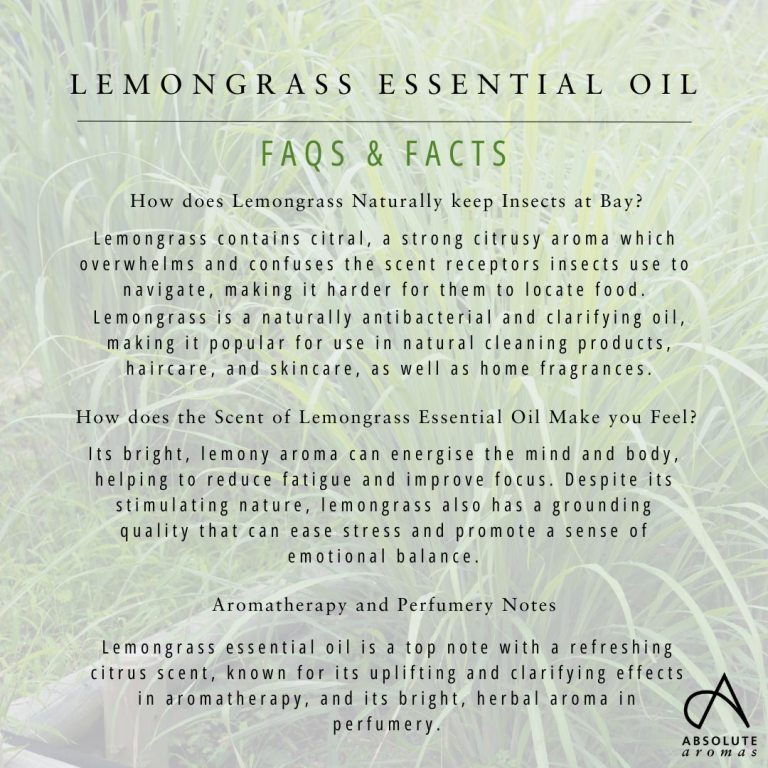 Absolute Aromas Lemongrass Essential Oil 6