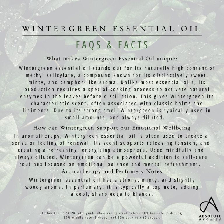 Absolute Aromas Wintergreen Essential Oil 5