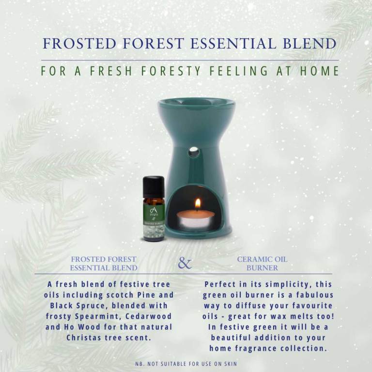 Absolute Aromas Frosted Forest Aromatherapy Blend 3