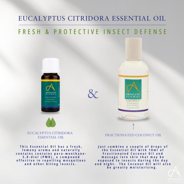 Absolute Aromas Eucalyptus Citriodora Essential Oil 3
