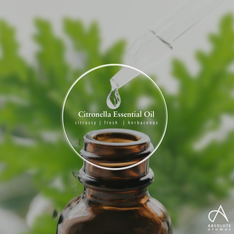 Absolute Aromas Citronella Essential Oil 5