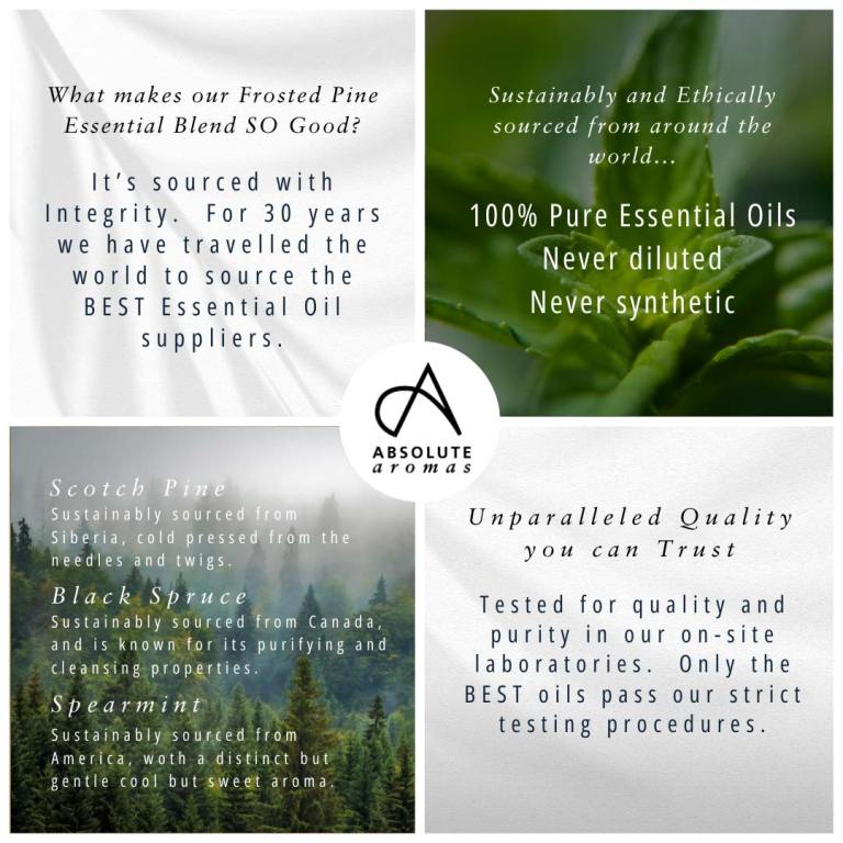 Absolute Aromas Frosted Forest Aromatherapy Blend 4