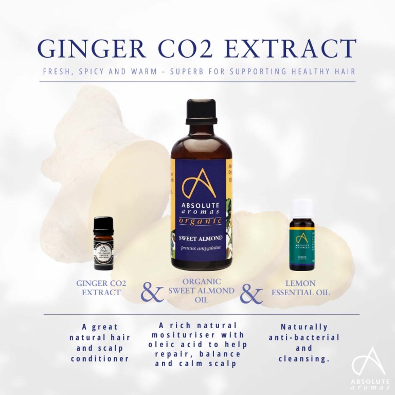 Absolute Aromas Ginger CO2 Extract 4
