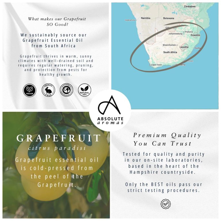 Absolute Aromas Grapefruit Essential Oil 4