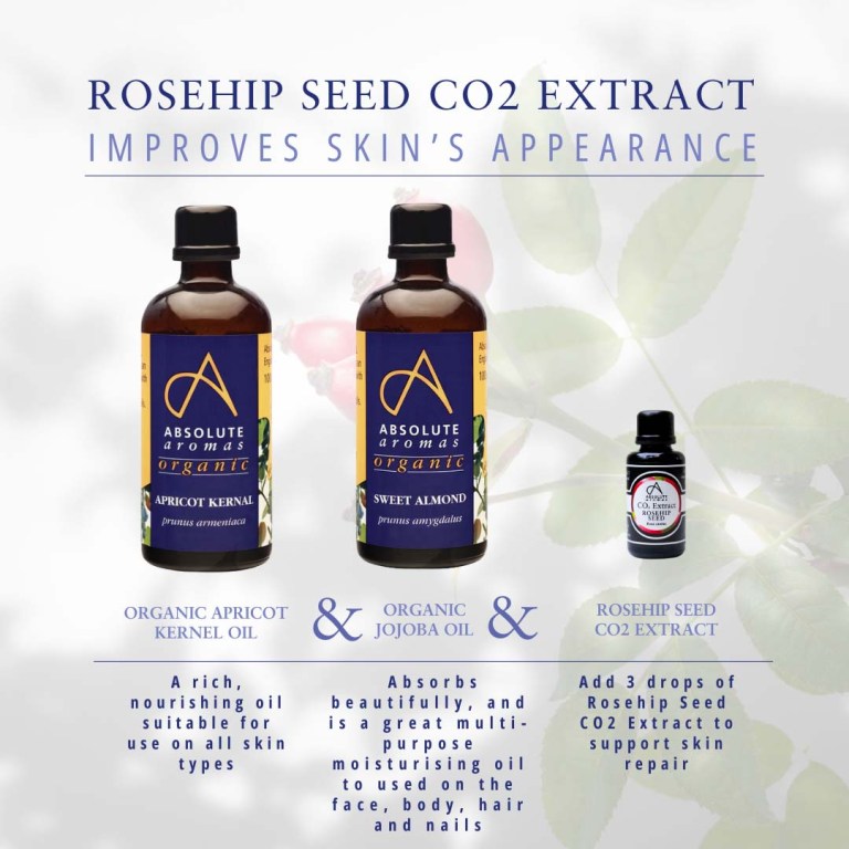 Absolute Aromas Rosehip Seed CO2 Extract 4