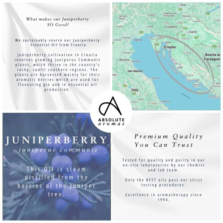 Absolute Aromas Juniperberry Essential Oil 4