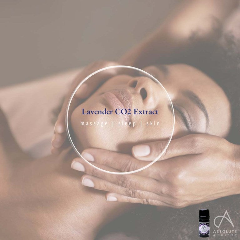 Absolute Aromas Lavender CO2 Extract 6