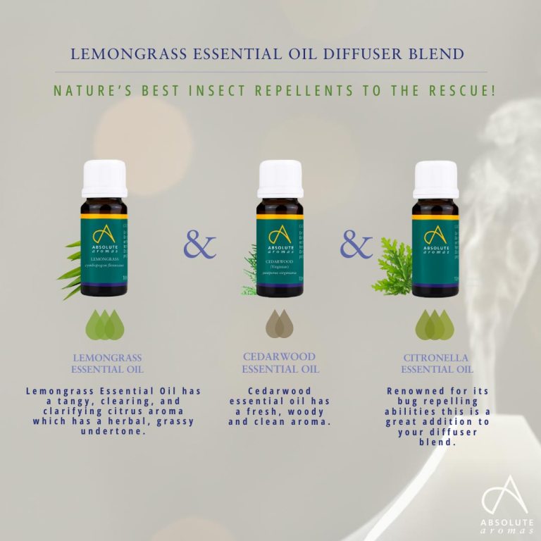 Absolute Aromas Lemongrass Essential Oil 4