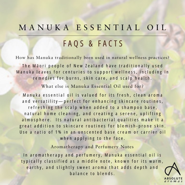 Absolute Aromas Manuka Essential Oil 6