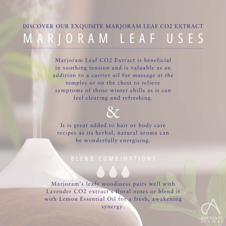 Absolute Aromas Marjoram Leaf CO2 Extract 3