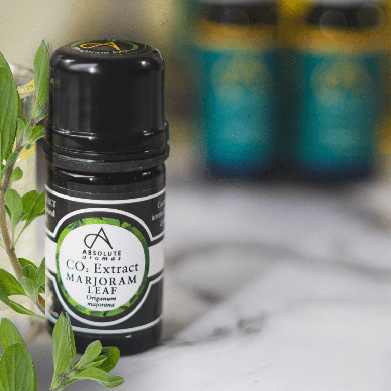 Absolute Aromas Marjoram Leaf CO2 Extract