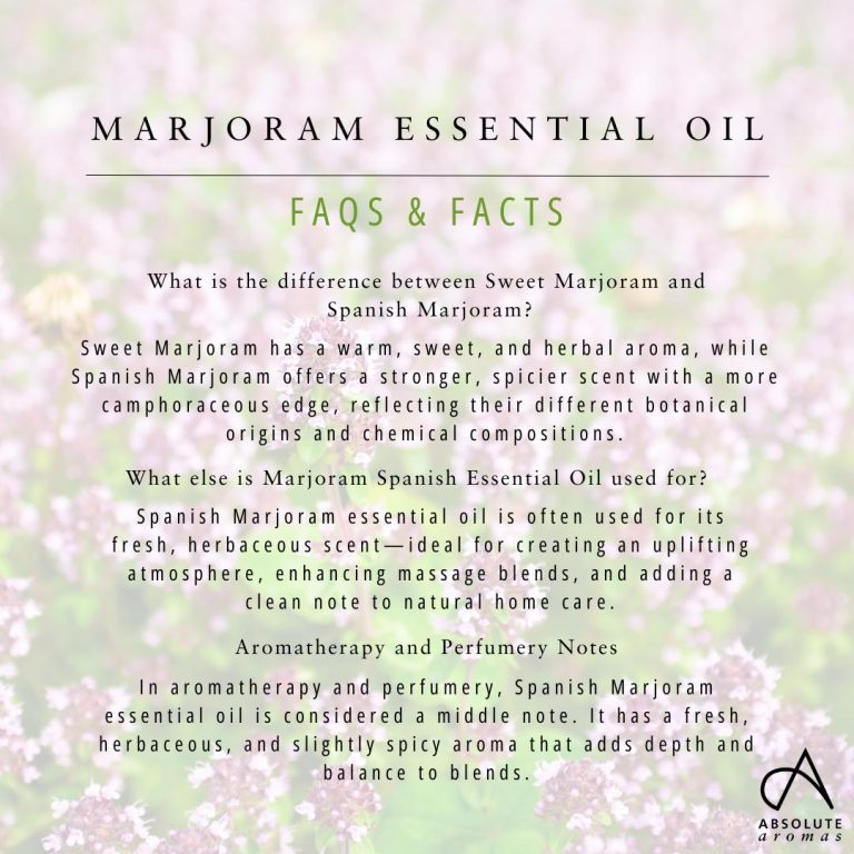 Absolute Aromas Marjoram Spanish 6