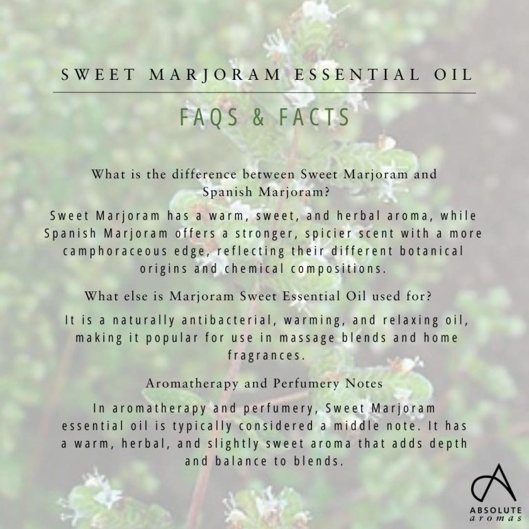 Absolute Aromas Marjoram Sweet Essential Oil 6