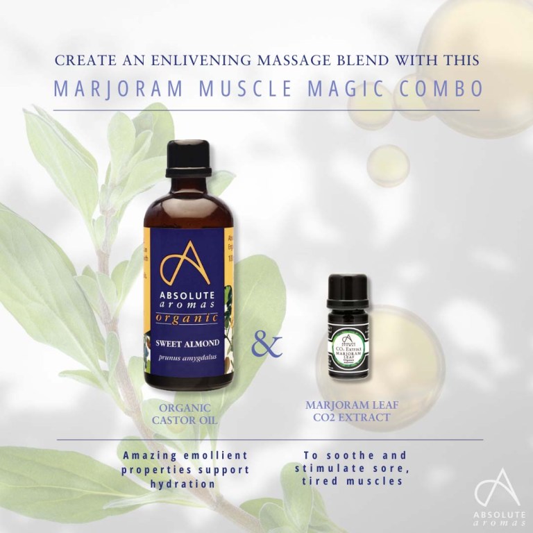Absolute Aromas Marjoram Leaf CO2 Extract 4