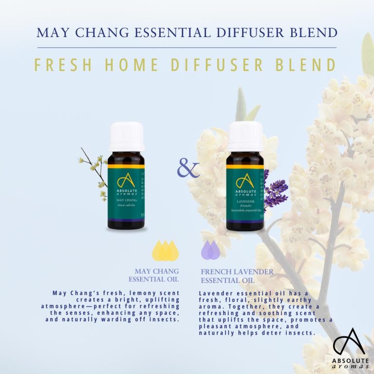 Absolute Aromas May Chang Essential Oil 3