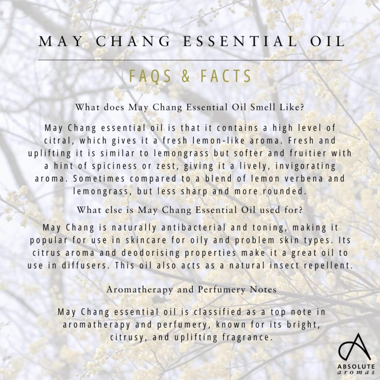 Absolute Aromas May Chang Essential Oil 6