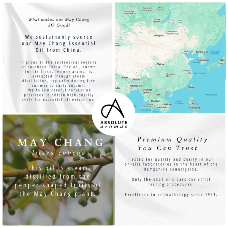 Absolute Aromas May Chang Essential Oil 4