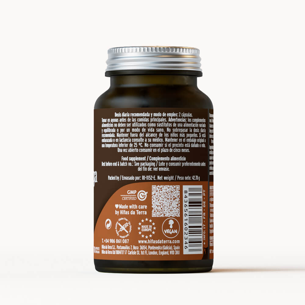 Hifas Da Terra Mico-Chaga Pure Organic 10