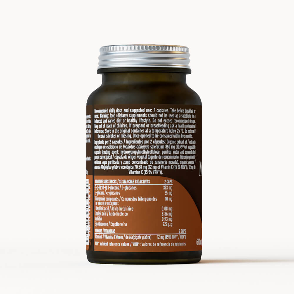 Hifas Da Terra Mico-Chaga Pure Organic 11