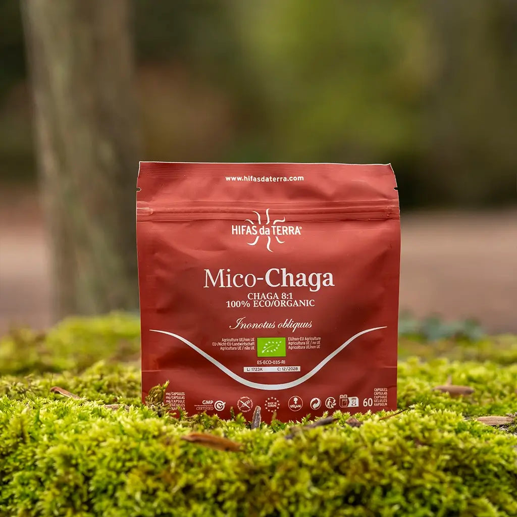 Hifas Da Terra Mico-Chaga Pure Organic 3