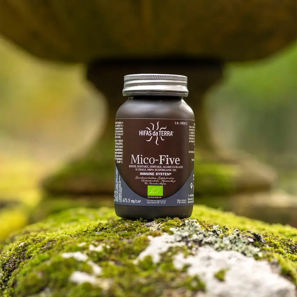 Hifas Da Terra Mico-Five Pure extracts from Reishi, Shiitake, Maitake, Sun and Chaga Mushrooms 3