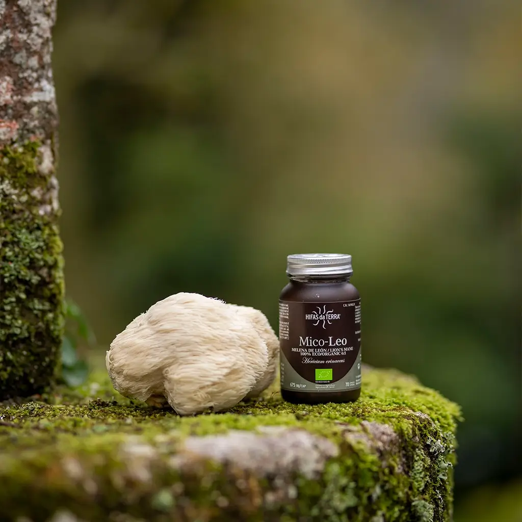 Hifas Da Terra Mico-Leo Lion's Mane Pure Organic Extract 13