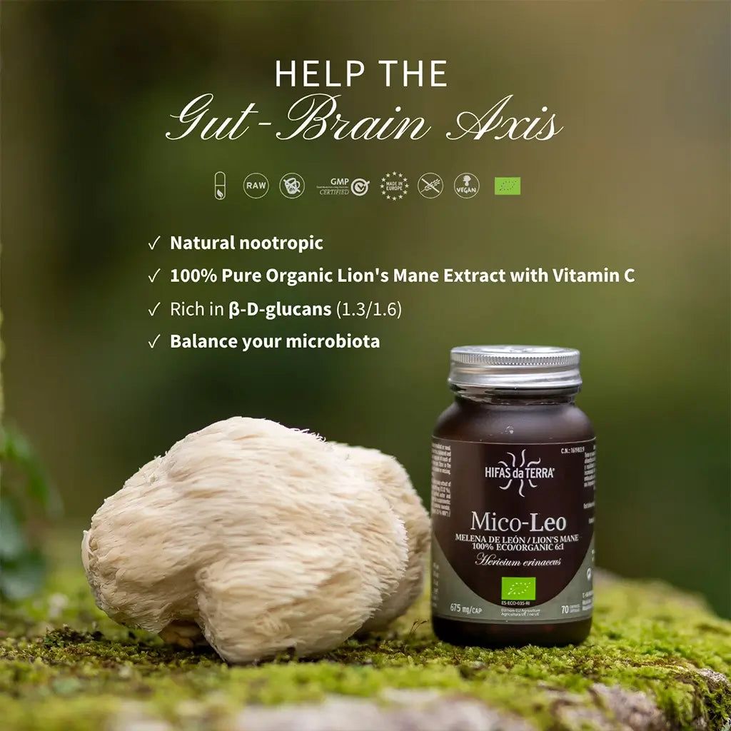 Hifas Da Terra Mico-Leo Lion's Mane Pure Organic Extract 6