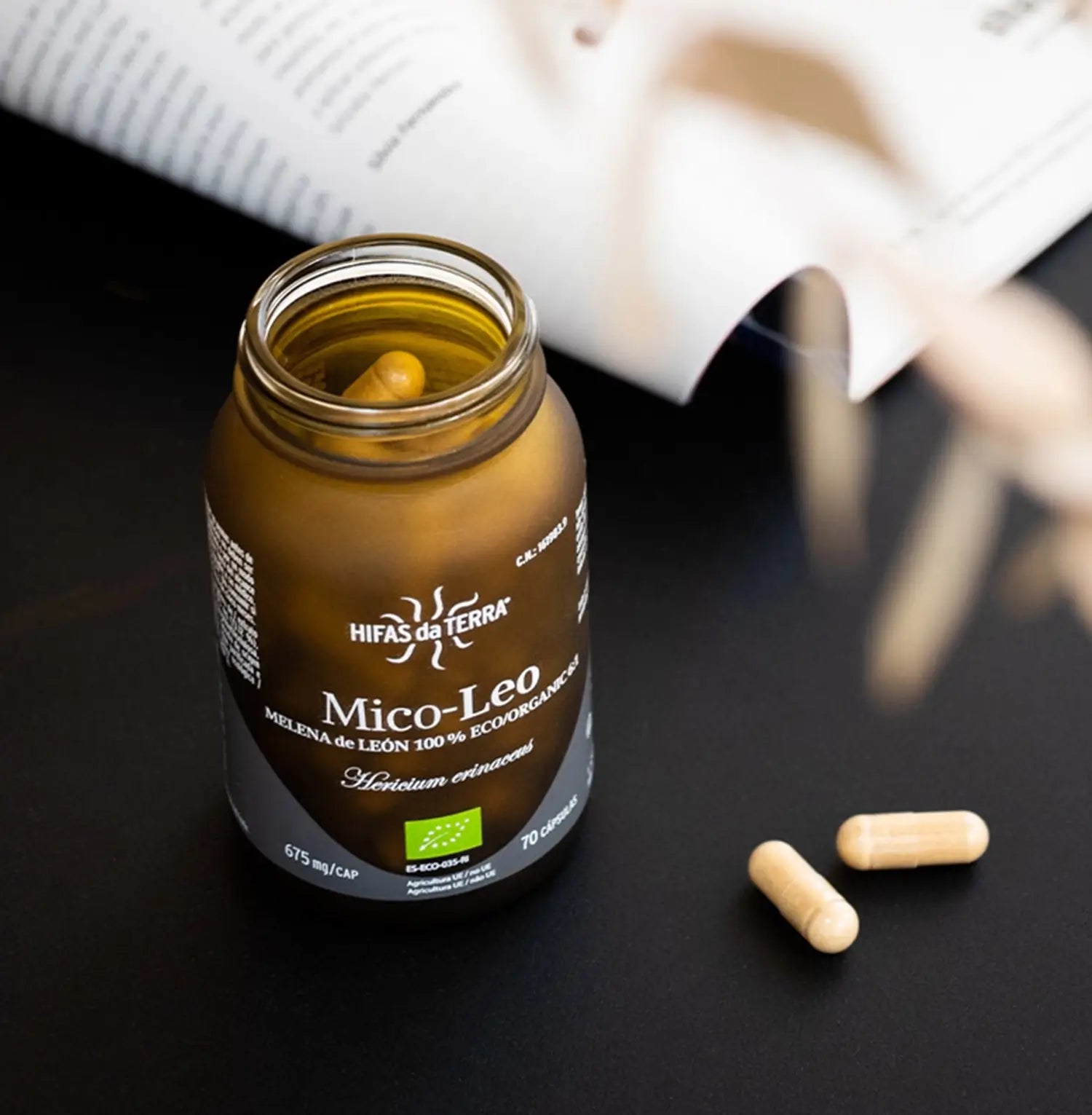 Hifas Da Terra Mico-Leo Lion's Mane Pure Organic Extract 7