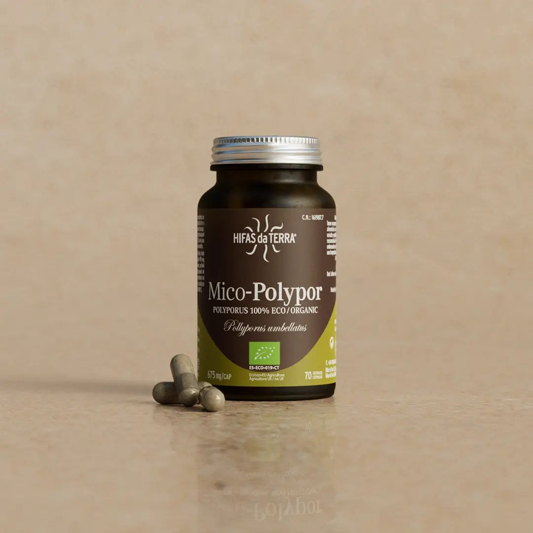 Hifas Da Terra Mico-Polypor Pure Organic Polyporus 4