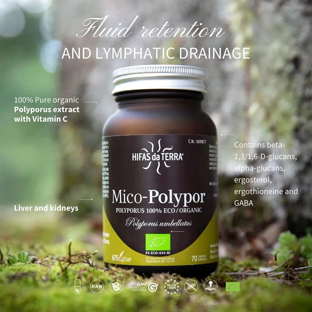 Hifas Da Terra Mico-Polypor Pure Organic Polyporus 5