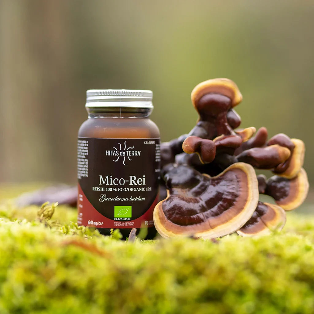 Hifas Da Terra Mico-Rei Pure Organic Extract of Reishi 20