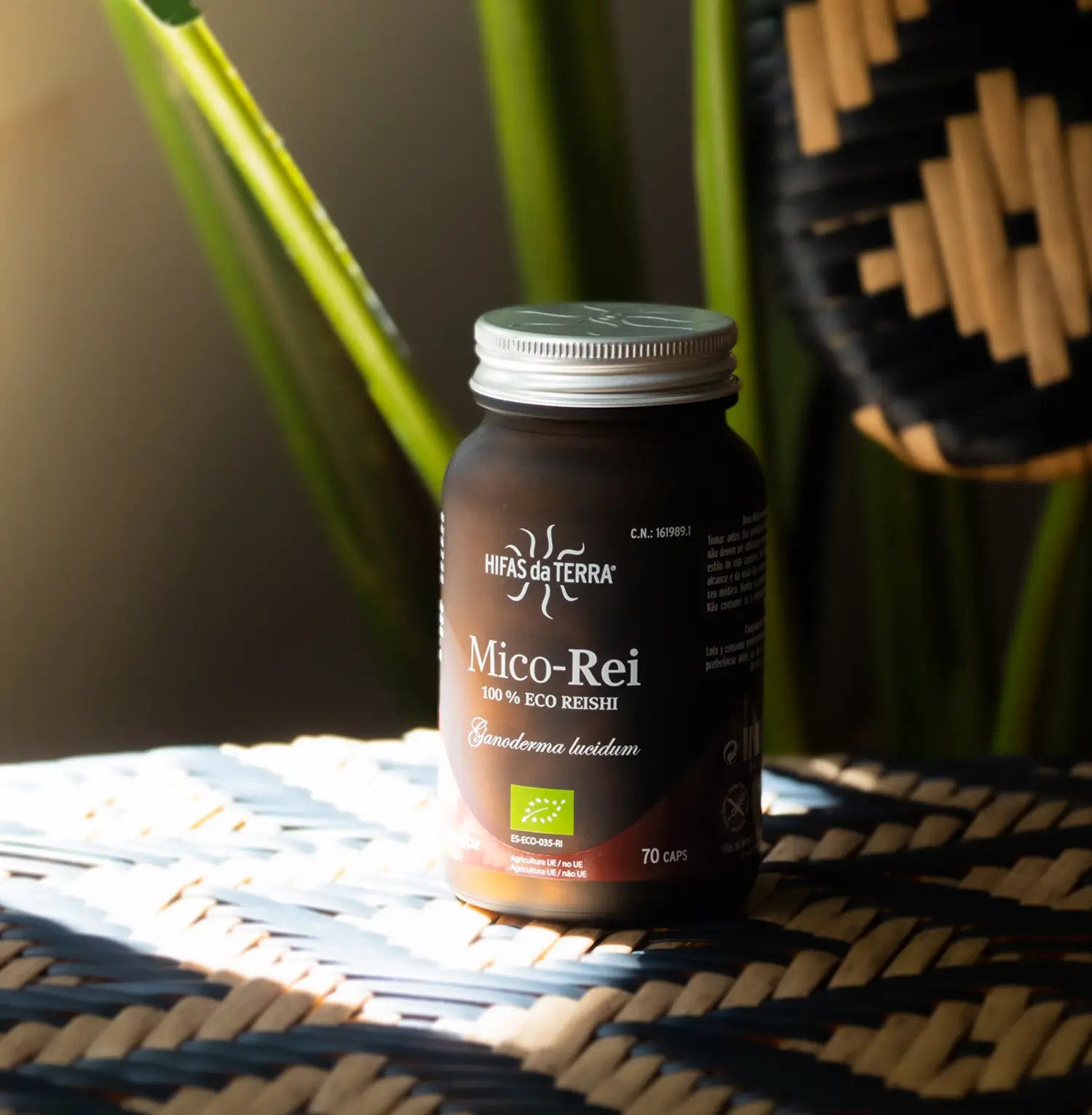Hifas Da Terra Mico-Rei Pure Organic Extract of Reishi 9