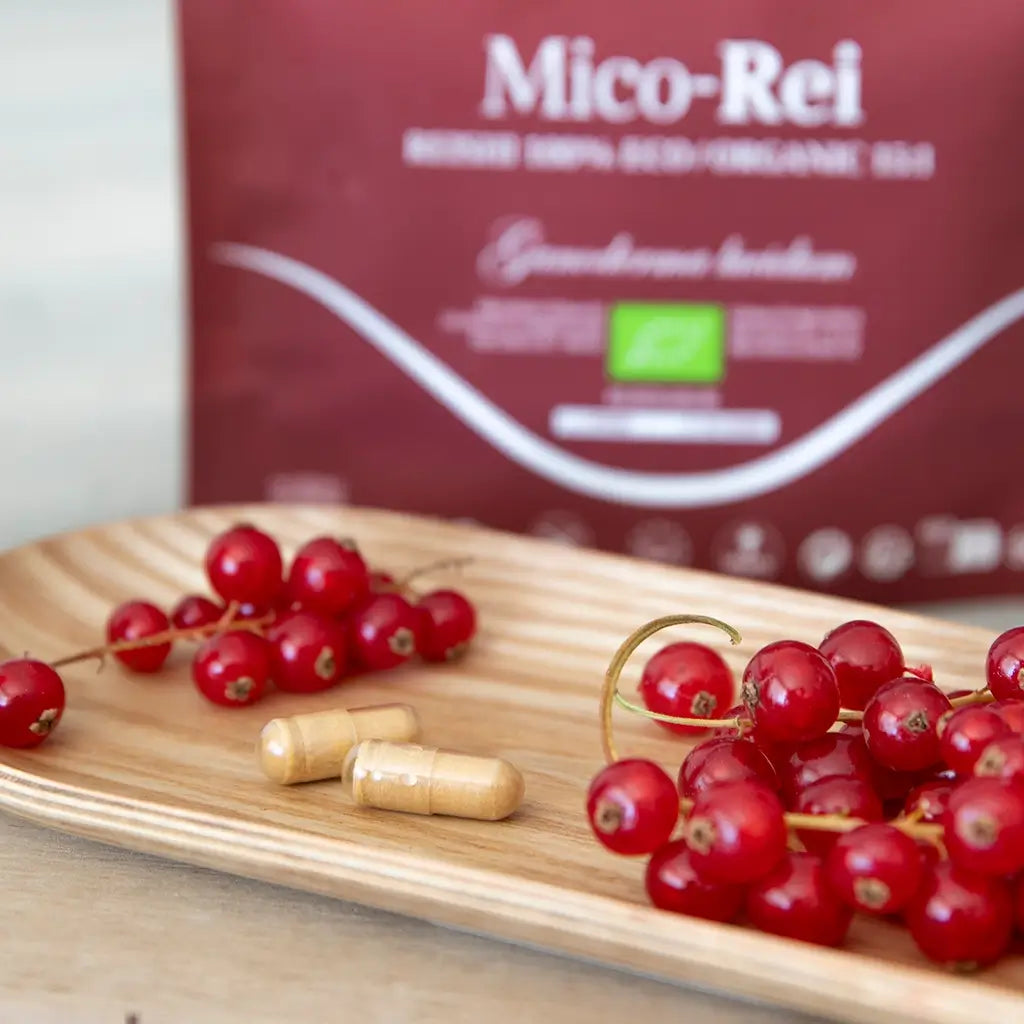 Hifas Da Terra Mico-Rei Pure Organic Extract of Reishi 16