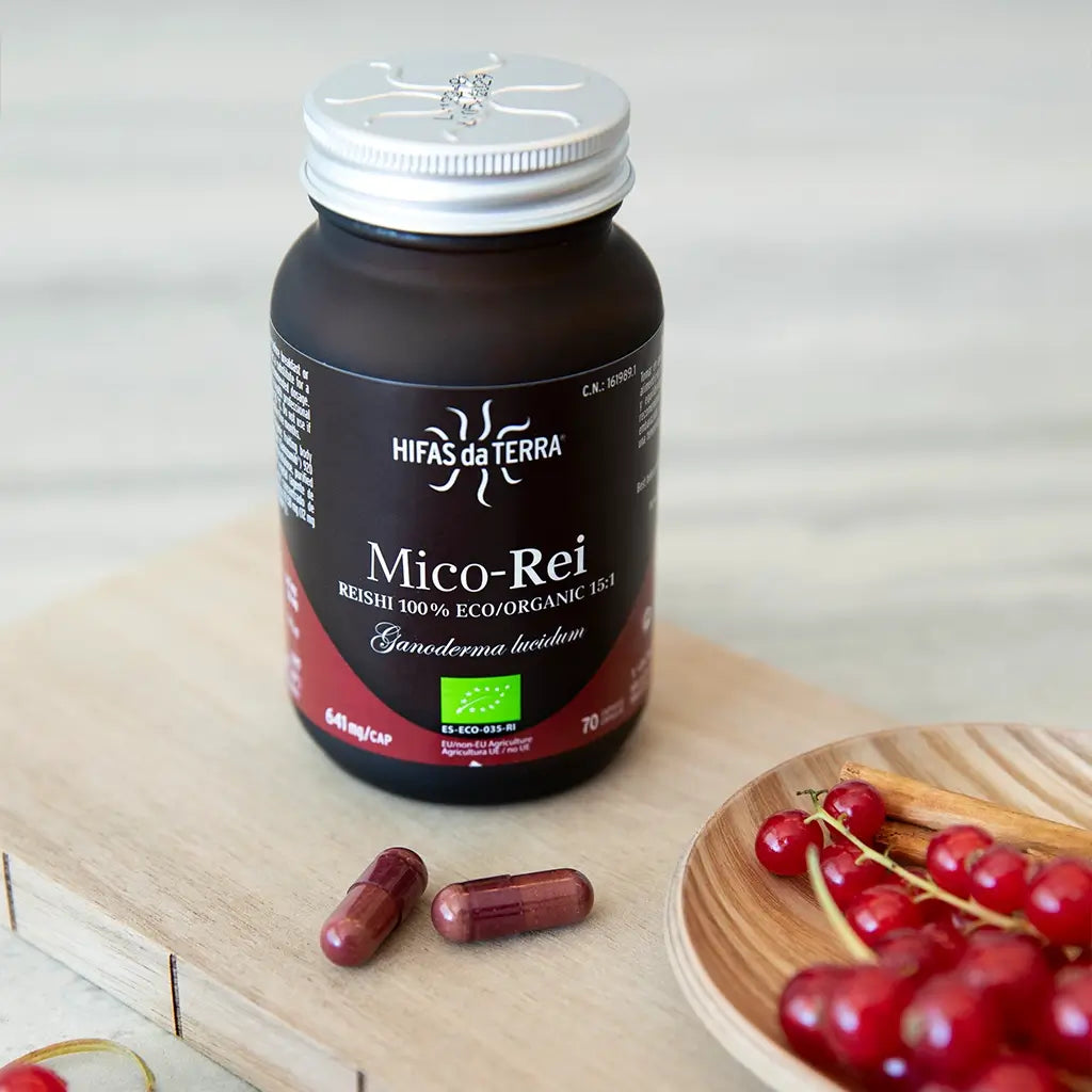 Hifas Da Terra Mico-Rei Pure Organic Extract of Reishi 6