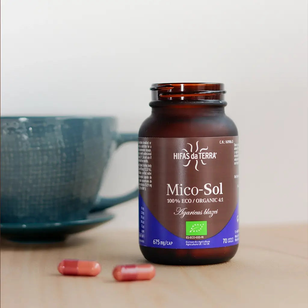Hifas Da Terra Mico-Sol Sun Mushroom Extract 3